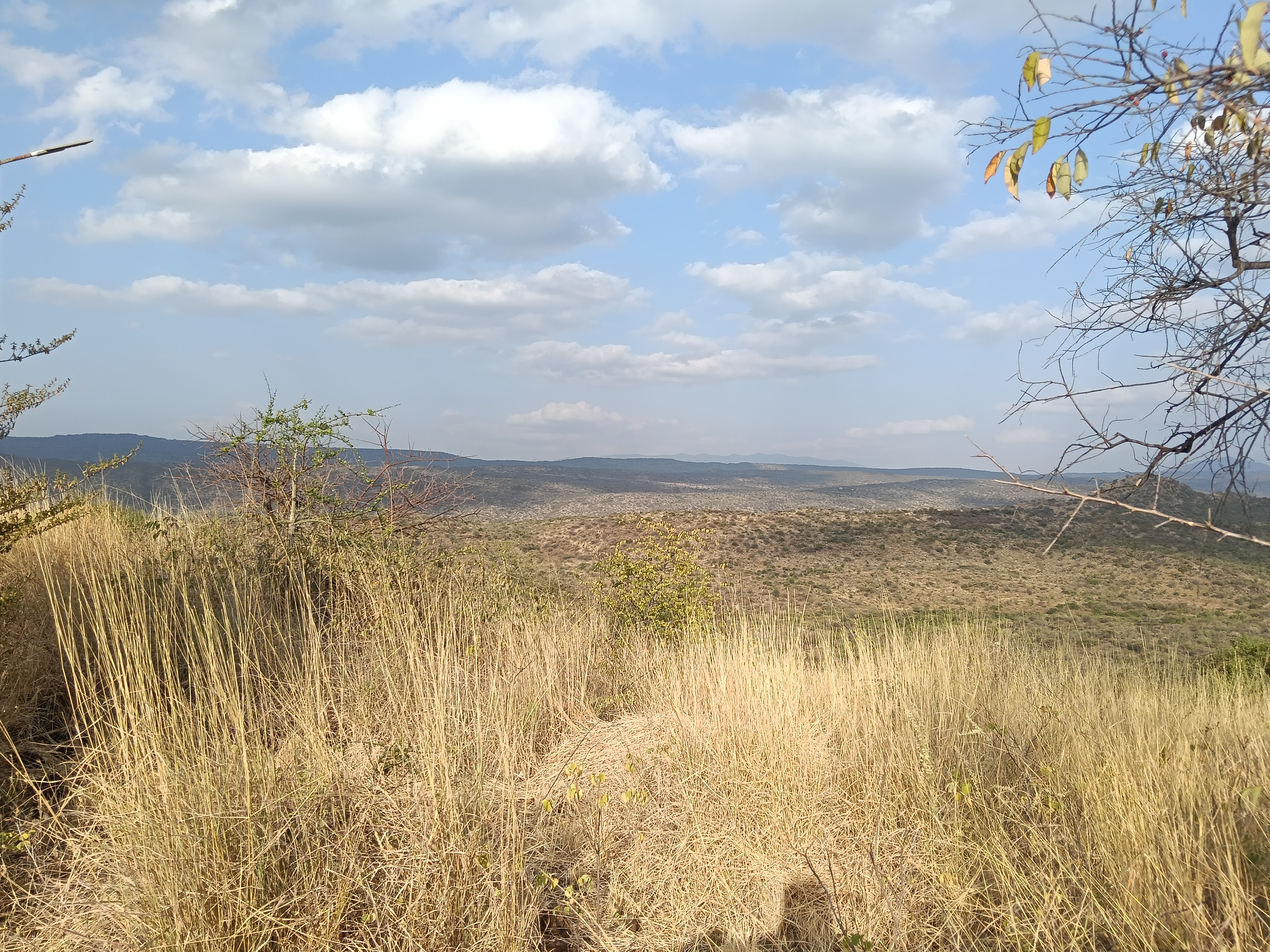 Indepen Hill Camp Site